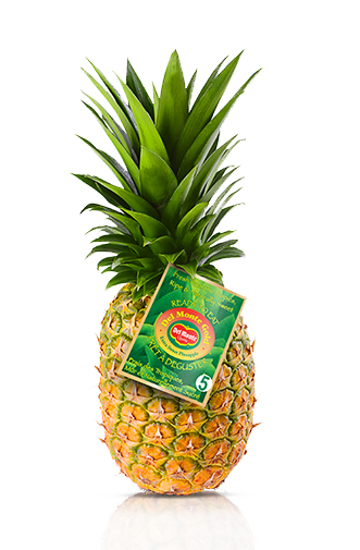 Del Monte Europe Gold Pineapple Extra